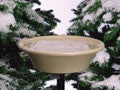 Allied Precision Deck & Ground Bird Baths Heated Bird Bath With Easy Tilt & Clean 6 Allied Precision Deck & Ground Bird Baths Heated Bird Bath With Easy Tilt & Clean