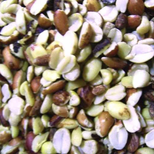 The Birdhouse Chick Shelled Peanuts-5 Pounds 3 The Birdhouse Chick Shelled Peanuts-5 Pounds