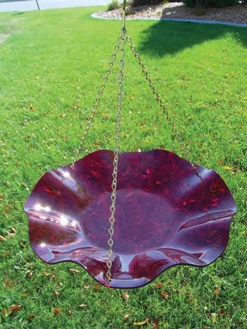 Birds Choice Hanging Acrylic BirdBath Hanging Bird Baths 4 Birds Choice Hanging Acrylic BirdBath Hanging Bird Baths