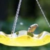 Birds Choice Hanging Acrylic BirdBath Hanging Bird Baths 1 Birds Choice Hanging Acrylic BirdBath Hanging Bird Baths