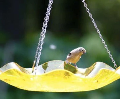 Birds Choice Hanging Acrylic BirdBath Hanging Bird Baths 3 Birds Choice Hanging Acrylic BirdBath Hanging Bird Baths