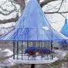 Bluebird Feeders Sky Cafe Bluebird Feeder By Arundale 2 Bluebird Feeders Sky Cafe Bluebird Feeder By Arundale
