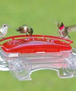 Aspects Jewel Box Window Hummingbird Feeder