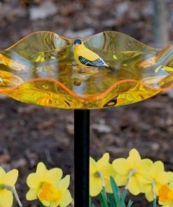 Birds Choice Staked & Pedestal Bird Baths Acrylic Bird Bath On Pole