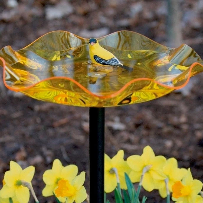 Birds Choice Staked & Pedestal Bird Baths Acrylic Bird Bath On Pole 3 Birds Choice Staked & Pedestal Bird Baths Acrylic Bird Bath On Pole