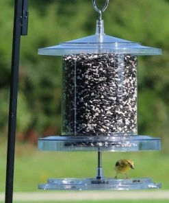 Songbird Essentials Songbird All-Weather Feeder 4 Or 6 Qt. Unique Bird Feeders