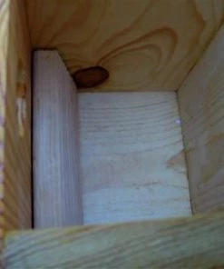 The Birdhouse Chick Unique Birdhouses Traditional Nest Box