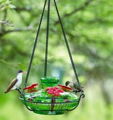 Parasol Hummingbird Feeders Bloom Perch Hummingbird Feeder- Aqua Or Green 3 Parasol Hummingbird Feeders Bloom Perch Hummingbird Feeder- Aqua Or Green