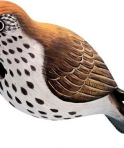 Bobbo Hermit Thrush Wooden Birdhouse Unique Birdhouses