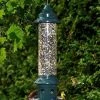 Brome Bird Care Squirrel Buster Plus With Optional Weather Guard Squirrel-Proof Feeders