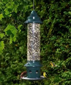 Brome Bird Care Squirrel Buster Plus With Optional Weather Guard Squirrel-Proof Feeders