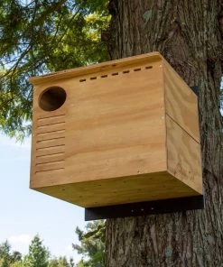 Nature Products USA Birdhouse Kits Barn Owl House- Assembled Or Kit