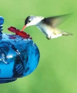 Parasol Hummingbird Feeders Bloom Perch Hummingbird Feeder- Aqua Or Green 5 Parasol Hummingbird Feeders Bloom Perch Hummingbird Feeder- Aqua Or Green
