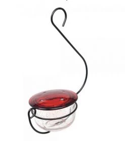 Songbird Essentials Hummingbird Feeders Blown Glass Hummingbird Feeder