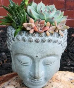 The Birdhouse Chick Buddha Head Planter Planters, Urns & Pots 6 The Birdhouse Chick Buddha Head Planter Planters, Urns & Pots