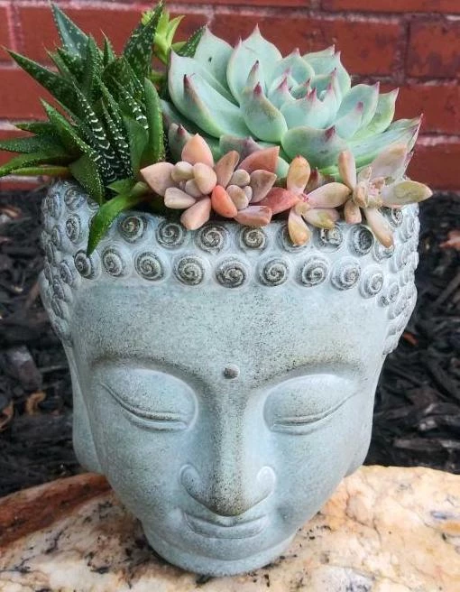 The Birdhouse Chick Buddha Head Planter Planters, Urns & Pots 4 The Birdhouse Chick Buddha Head Planter Planters, Urns & Pots