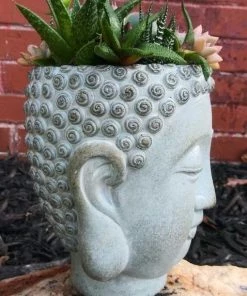 The Birdhouse Chick Buddha Head Planter Planters, Urns & Pots 7 The Birdhouse Chick Buddha Head Planter Planters, Urns & Pots