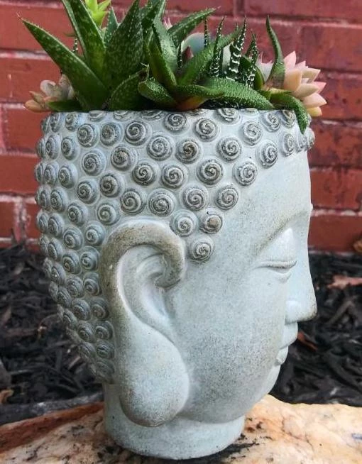 The Birdhouse Chick Buddha Head Planter Planters, Urns & Pots 5 The Birdhouse Chick Buddha Head Planter Planters, Urns & Pots