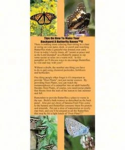Wildlife World Butterfly Biome Habitat Butterflies 7 Wildlife World Butterfly Biome Habitat Butterflies