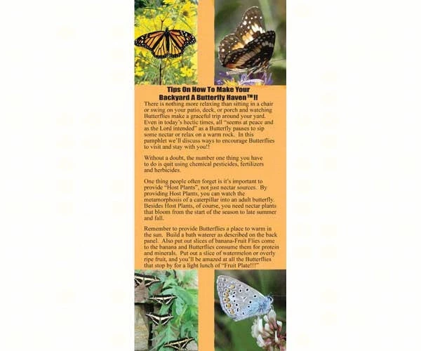 Wildlife World Butterfly Biome Habitat Butterflies 5 Wildlife World Butterfly Biome Habitat Butterflies