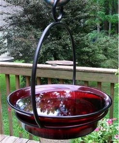Couronne Unique Bird Feeders Glass Globe Dish Feeder/Mini-Bath- Red Or Lime