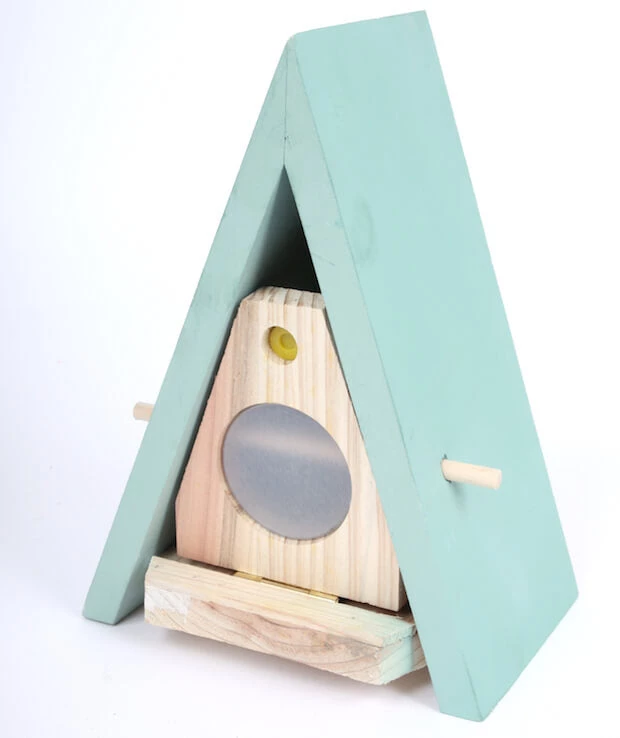 Wildlife World Butterfly Biome Habitat Butterflies 4 Wildlife World Butterfly Biome Habitat Butterflies