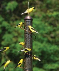 Songbird Essentials Copper Spiral Thistle Feeder 17-inch