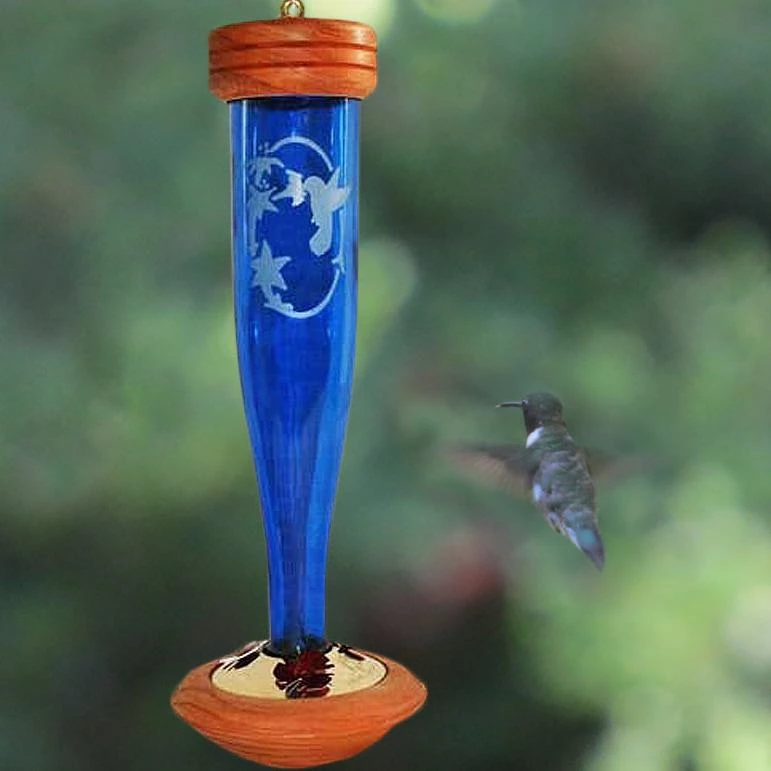 Songbird Essentials Hummingbird Feeders Crystal Etched Hummingbird Feeder- Clear Or Cobalt 3 Songbird Essentials Hummingbird Feeders Crystal Etched Hummingbird Feeder- Clear Or Cobalt