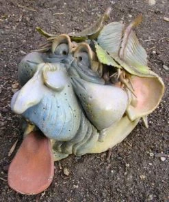 Doug Fey Garden Guy Toad House Toad Houses