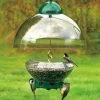 Droll Yankees Big Top Squirrel Proof Bird Feeder Squirrel-Proof Feeders