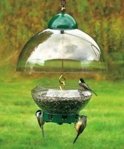 Droll Yankees Big Top Squirrel Proof Bird Feeder Squirrel-Proof Feeders