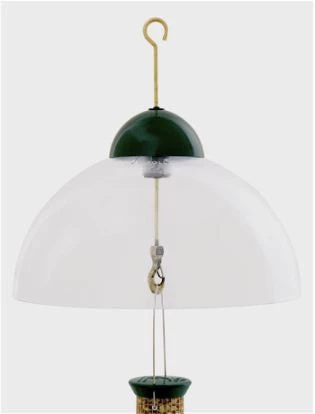 Droll Yankees Squirrel Guard Dome 3 Droll Yankees Squirrel Guard Dome