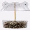 Window Bird Feeder By Droll Yankees