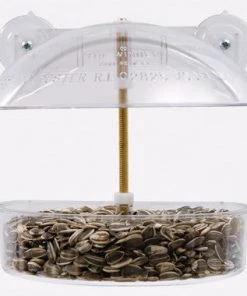Window Bird Feeder By Droll Yankees