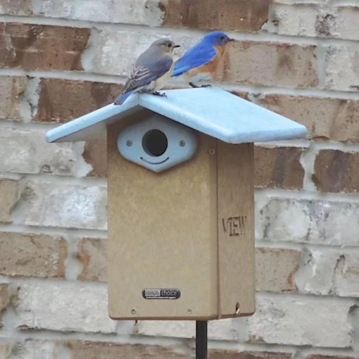 Birds Choice Bluebird Houses Deluxe Reycled Bluebird House-NABS Approved 3 Birds Choice Bluebird Houses Deluxe Reycled Bluebird House-NABS Approved