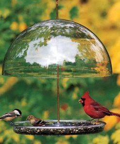 Droll Yankees Unique Bird Feeders Dorothy’s Cardinal Bird Feeder