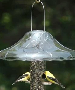 Aspects Hanging Weather Guard And Squirrel Baffle Squirrel Baffles & Weather Guards