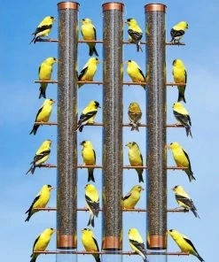 Songbird Essentials Thistle Feeders 3-Tube Copper Thistle Feeder