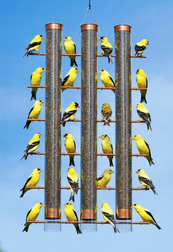 Songbird Essentials Thistle Feeders 3-Tube Copper Thistle Feeder 3 Songbird Essentials Thistle Feeders 3-Tube Copper Thistle Feeder