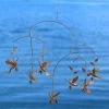 Ancient Graffiti Flamed Hummingbird Mobile Wind Chimes