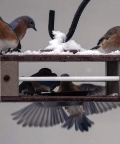 The Birdhouse Chick Recycled Birdhouses Gilbertson Hanging Bluebird Feeder