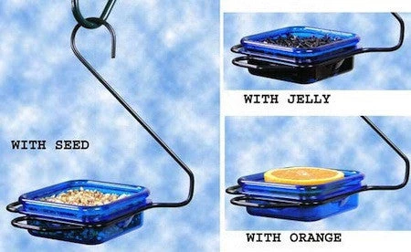 Hiatt Fruit-Jelly-Mealworm Feeder - Hanging 4 Hiatt Fruit-Jelly-Mealworm Feeder - Hanging