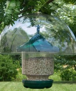 Songbird Essentials Hanging Squirrel Baffle 12-inch