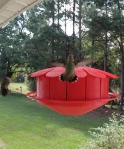 The Birdhouse Chick Humm-Bug Protein Hummingbird Feeder Hummingbird Feeders