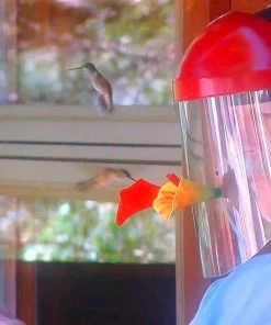The Birdhouse Chick Humm-Viewer Ultimate Feeder Mask Hummingbird Feeders