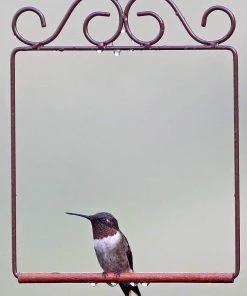 Hummingbird Feeders Pop's Hummingbird Swing