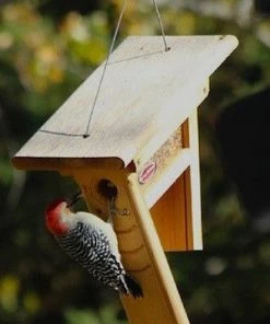 Kettle Moraine Clinger Woodpecker And Peanut Feeder