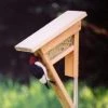 Kettle Moraine Clinger Woodpecker And Peanut Feeder