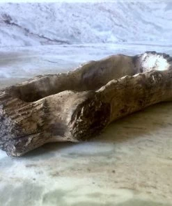 The Birdhouse Chick Planters, Urns & Pots Ceramic Log Planter 5 The Birdhouse Chick Planters, Urns & Pots Ceramic Log Planter