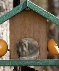 Songbird Essentials Oriole Feeder Cedar-Fruit & Jelly Fruit, Jelly & Mealworm Feeders